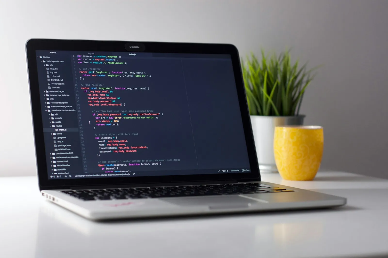 Software Development